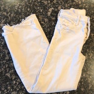 Tom Cat Roller Chew size 25